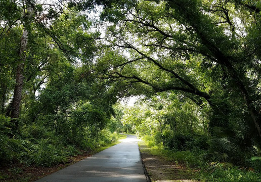 Wekiva Springs旅游攻略图片