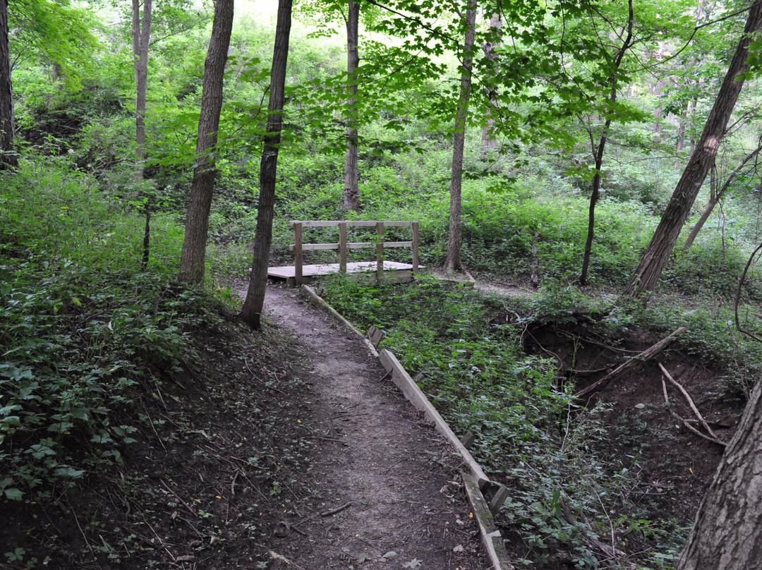 Robinson Park-Mossville必去景点