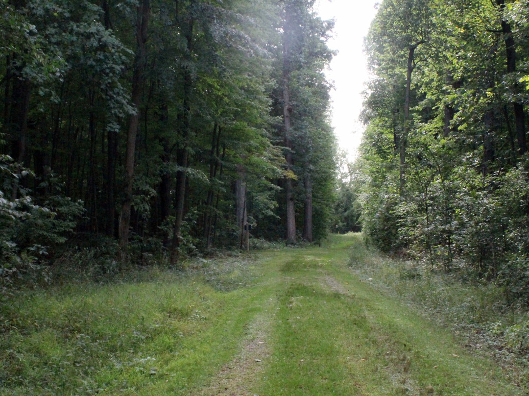 Oakwood Metropark Nature Center景点图片