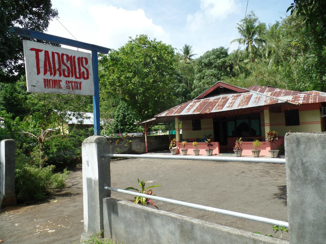 Tarsius Homestay