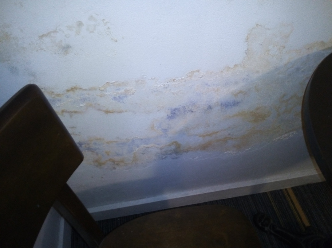 Ariah Park Hotel主图