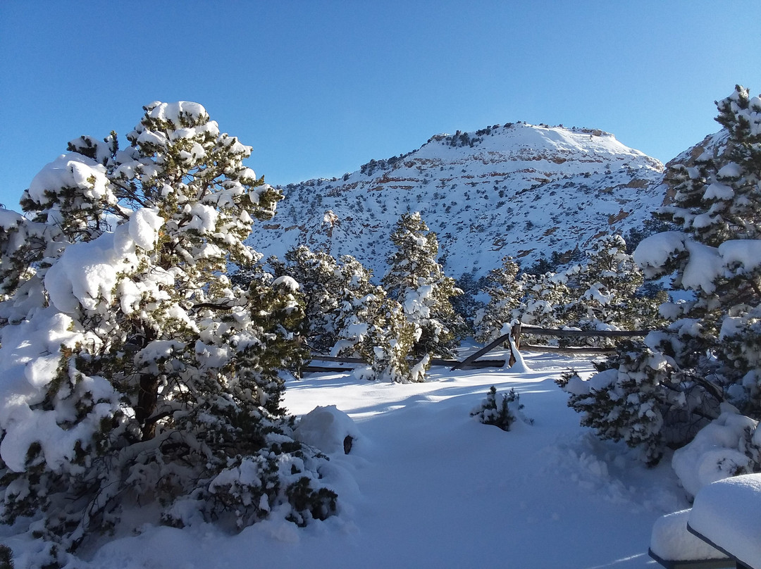 Pine Shadows Cabins