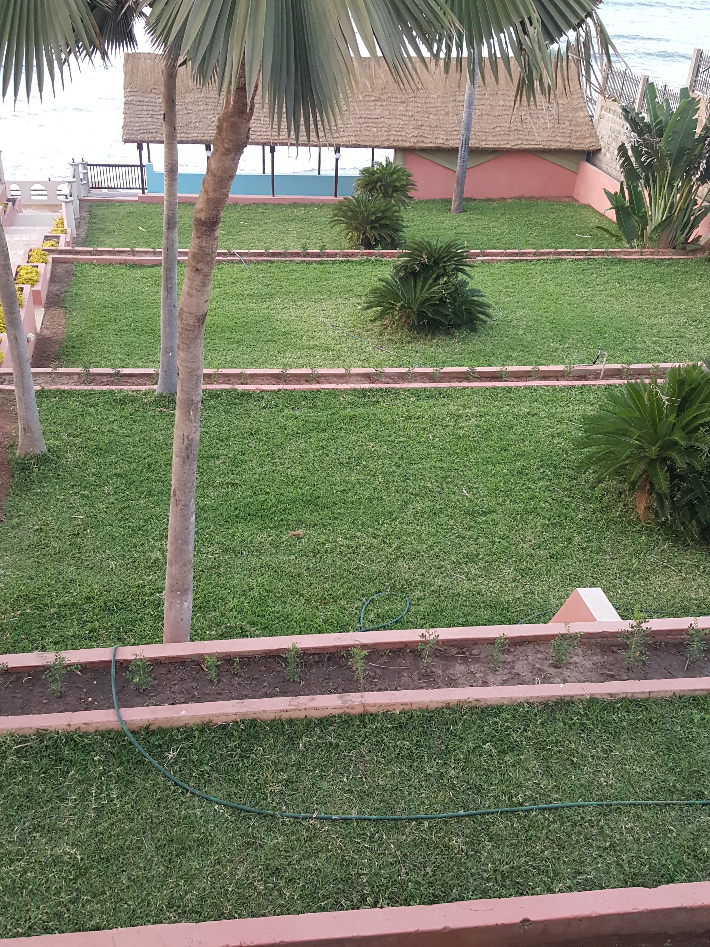 Tropic Garden Hotel-泳池