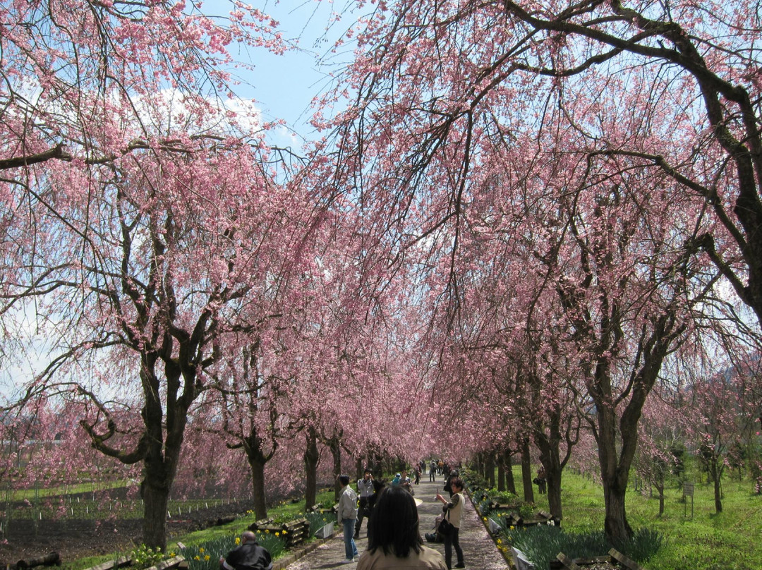福知山市旅游景点-Yakuno Highland