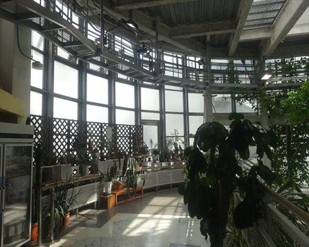 Shibuya Fureai Botanical Center-涩谷区必去景点