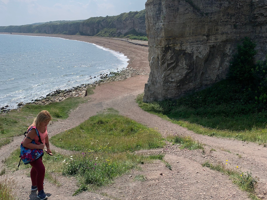Nose's Point