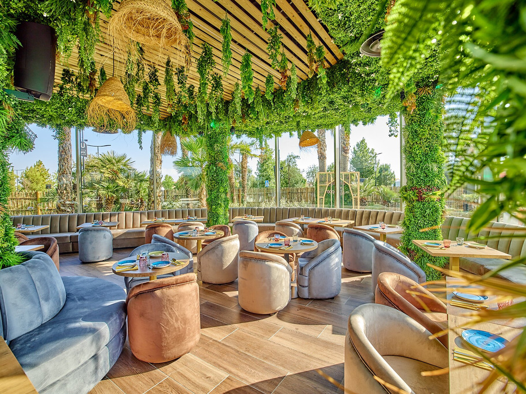 La Palapa Oasiz