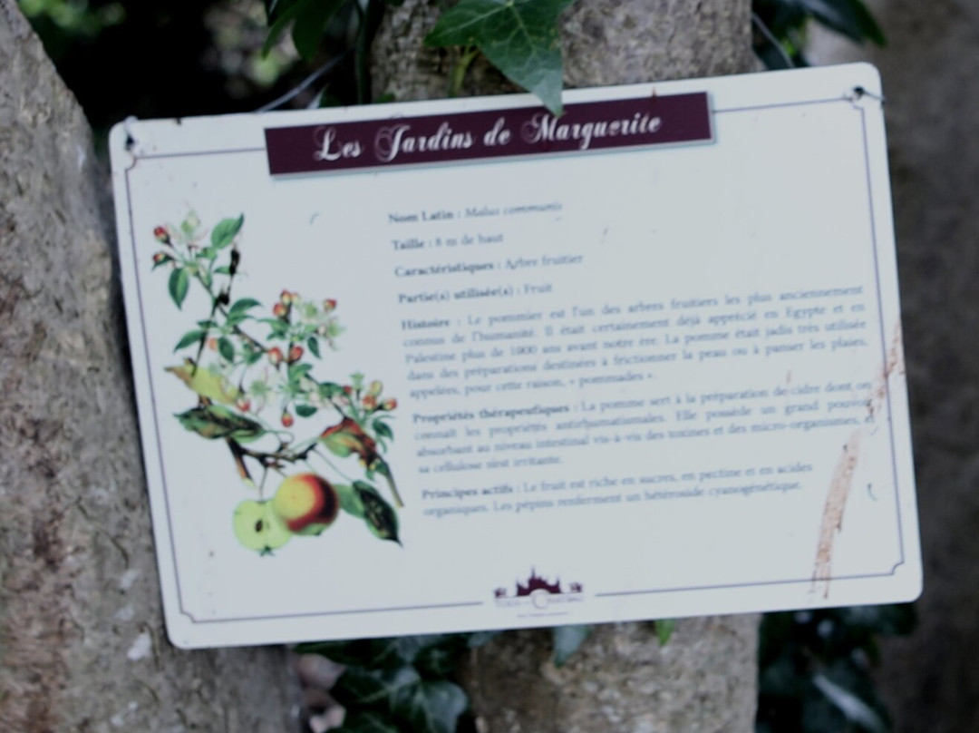 Jardin Marguerite De Bourgogne