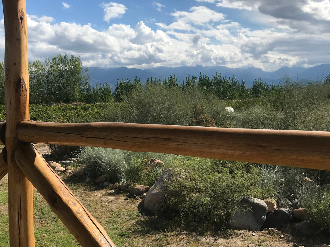 Bodega Piedra Negra-Vista Flores必去景点