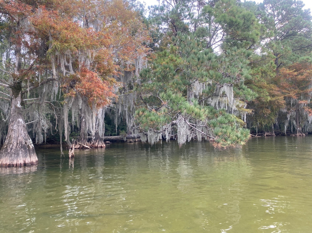 Bonneau旅游攻略图片