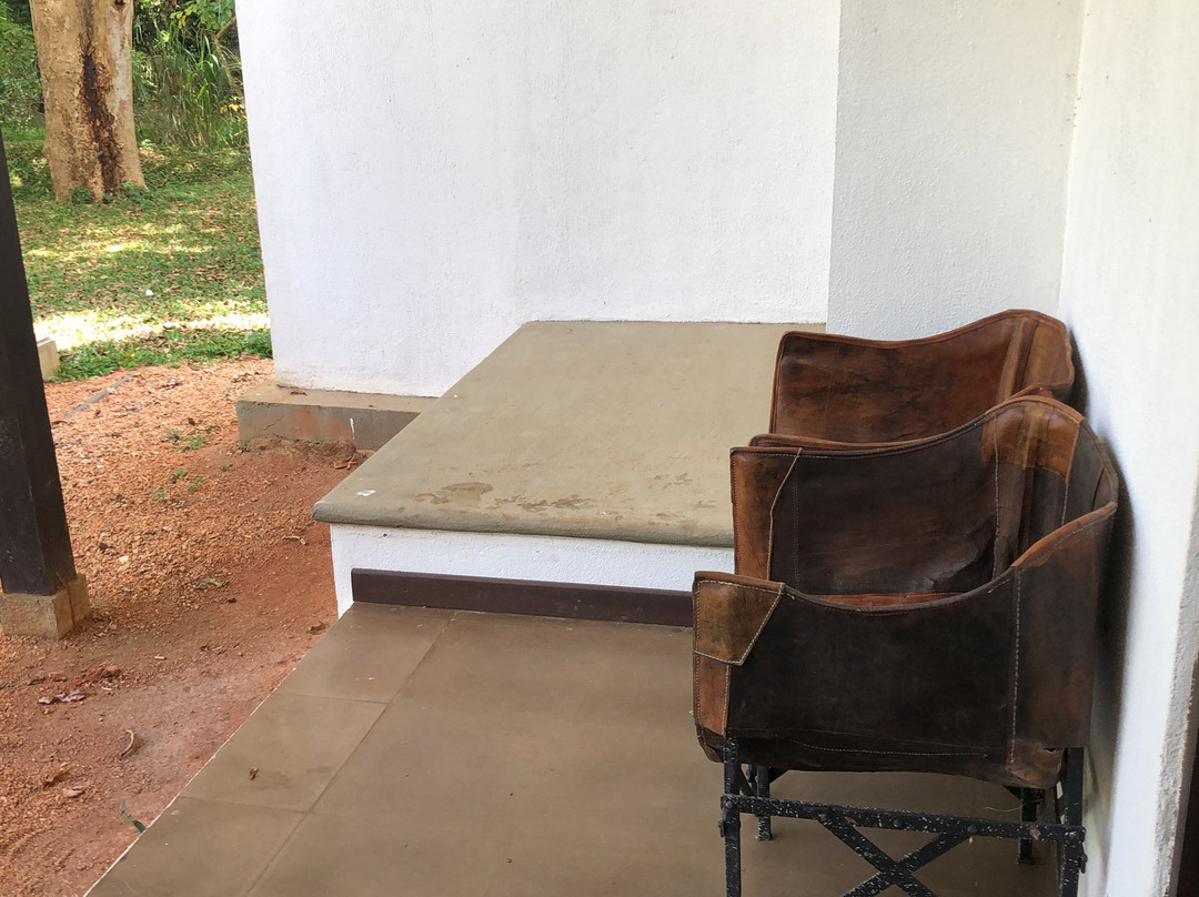 Sigiriya Jungles主图