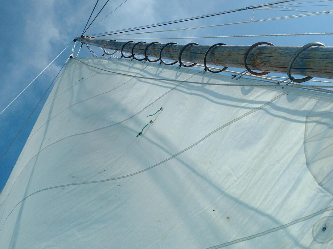 Skipjack -Rebecca T. Ruark Charter景点图片