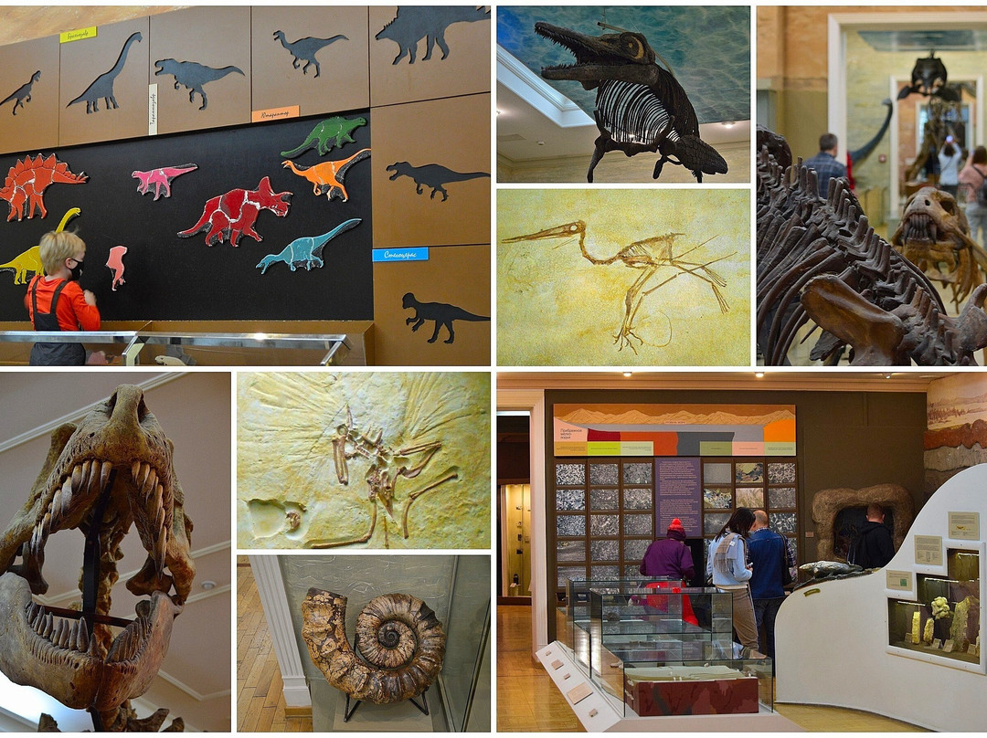 Natural History of Tatarstan Museum-喀山必去景点