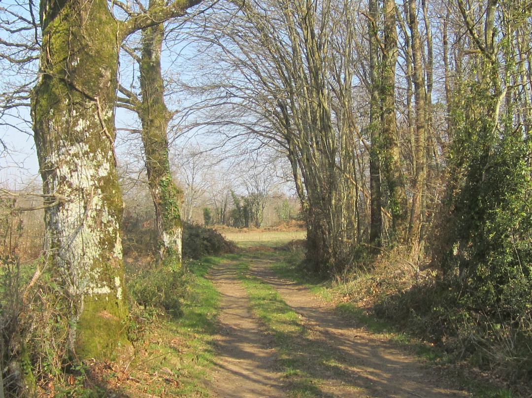 Dolmen Du Bois Plantaire