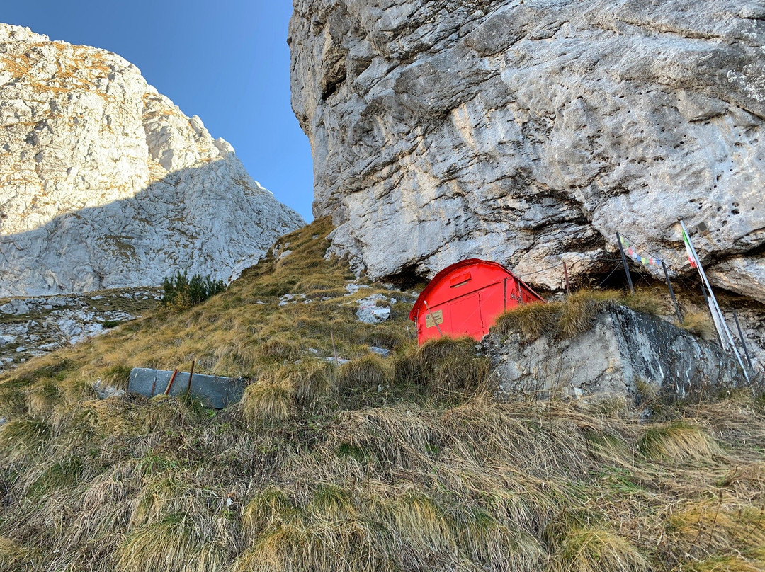 Anello Della Baba Grande Da Casera Coot