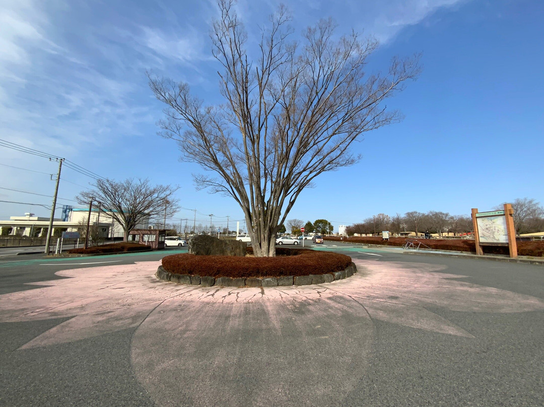 Kodai Hasunosato-行田市必去景点