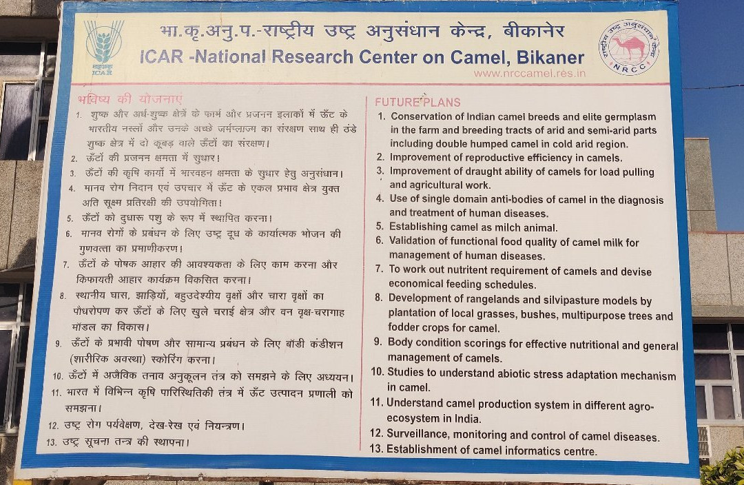 National Research Centre on Camel-碧卡内必去景点