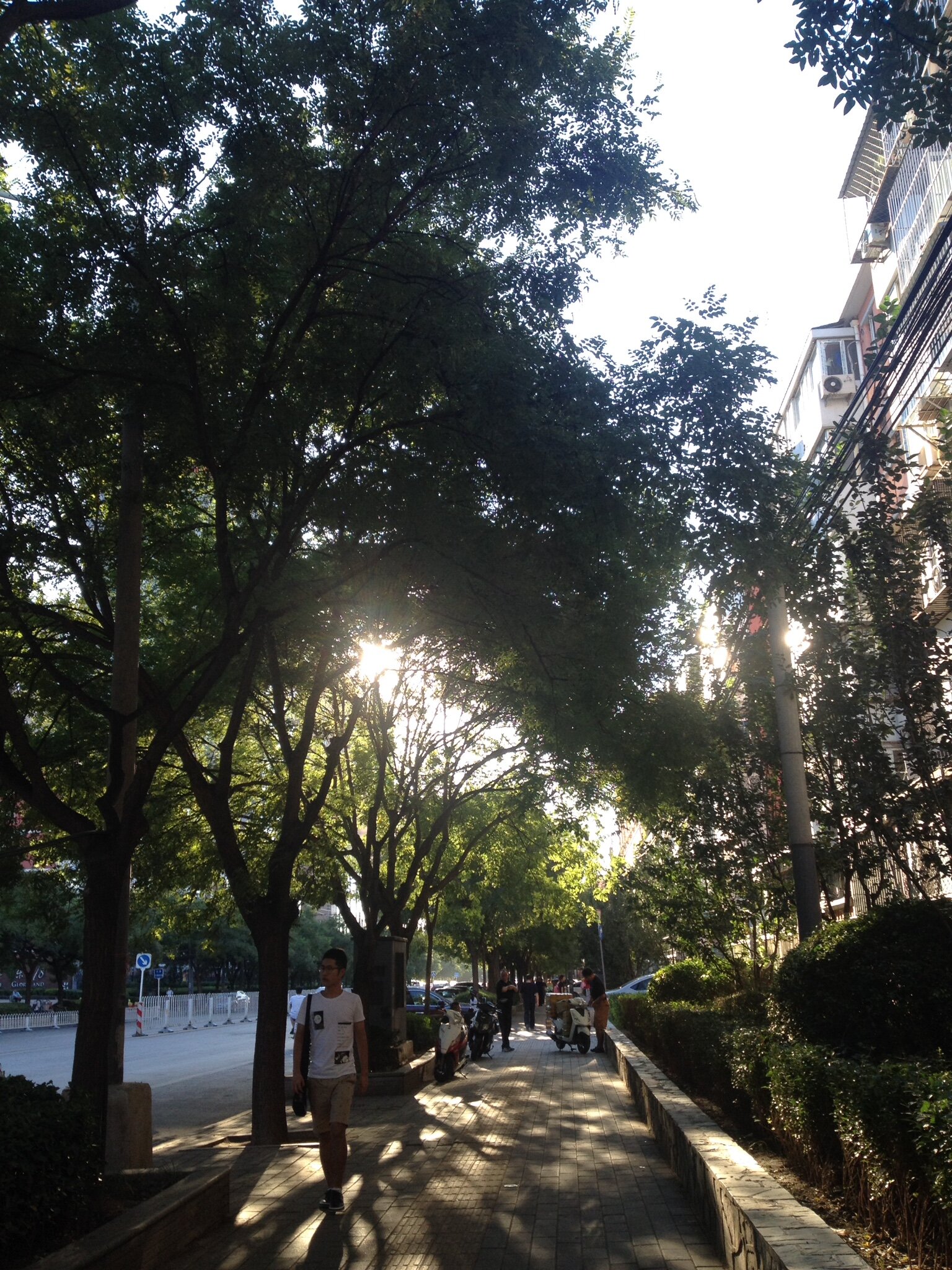 汉庭北京亚运村鸟巢酒店-官方