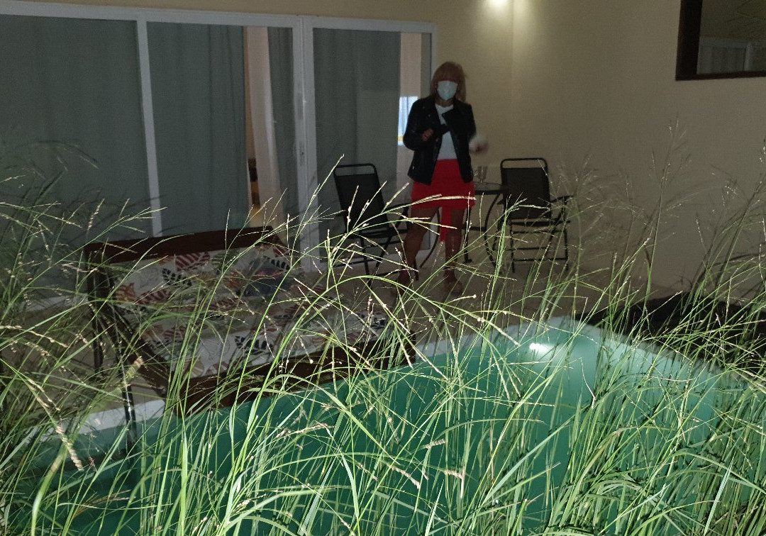 La Viuda de José Ignacio主图