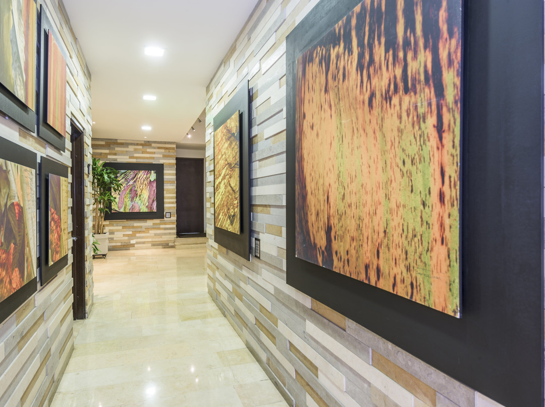 Holiday Inn Express 波哥大主图