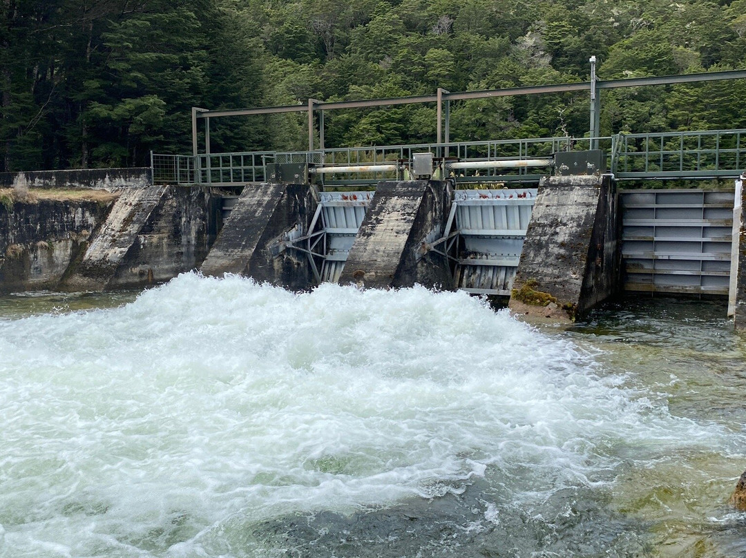 Lake Monowai (Not Manowai)景点图片