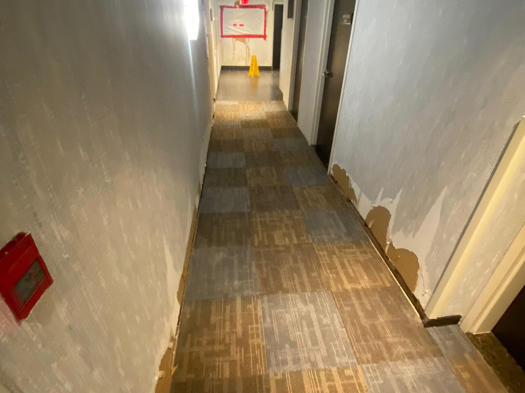 Quality Hotel Burlington主图