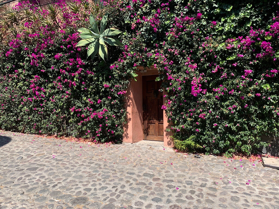 San Angel-墨西哥城必去景点