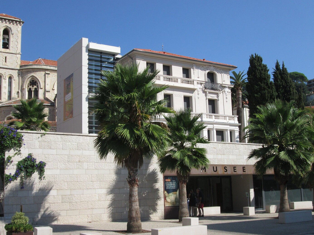 Musee Bonnard景点图片
