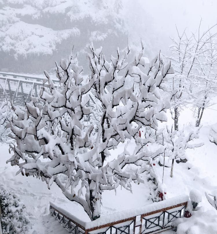 Solang Heights Hotel And Cafe主图