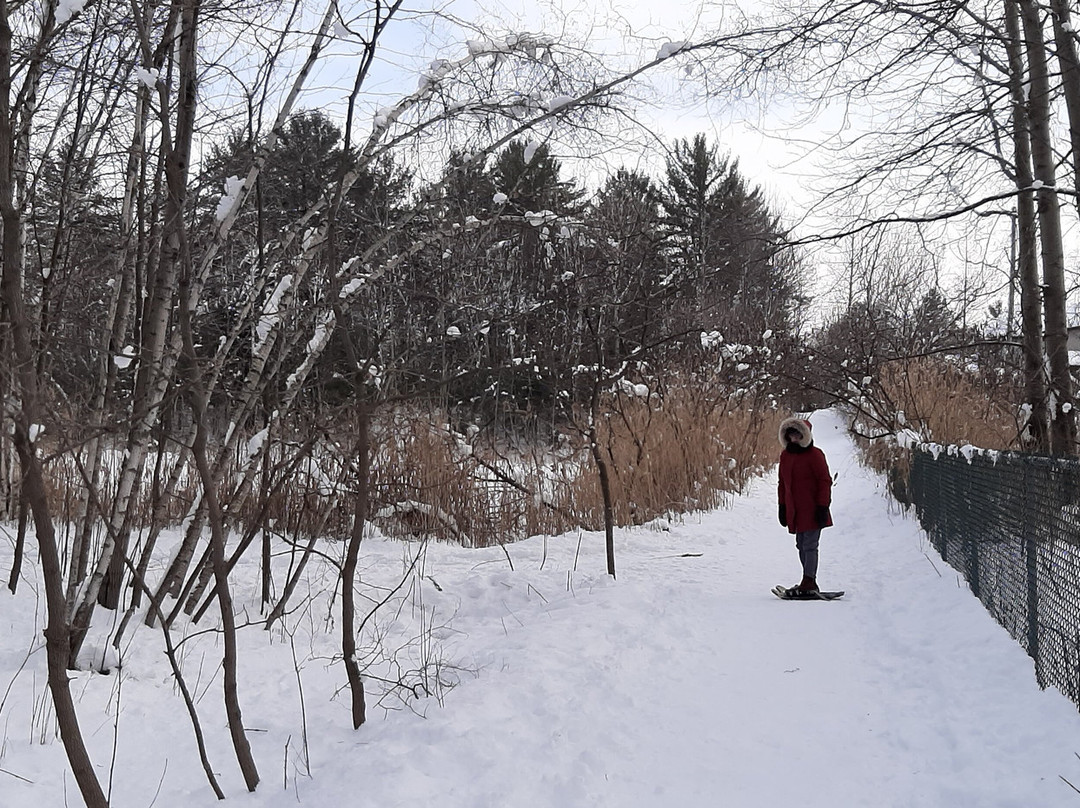 Parc Écologique De L'assomption-L'Assomption必去景点