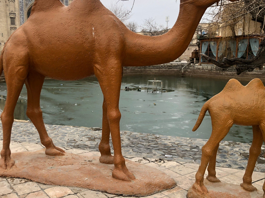 Monument to Hodja Nasreddin-布哈拉必去景点