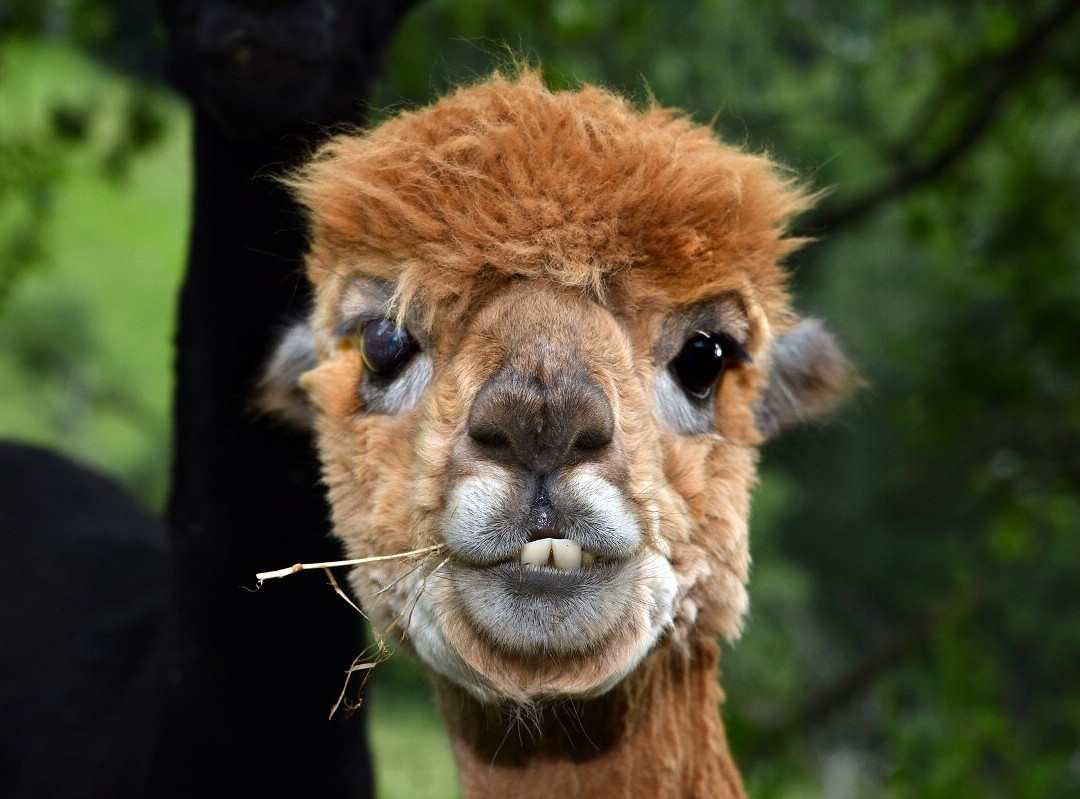 Waldpark Hochreiter-Breitenau必去景点
