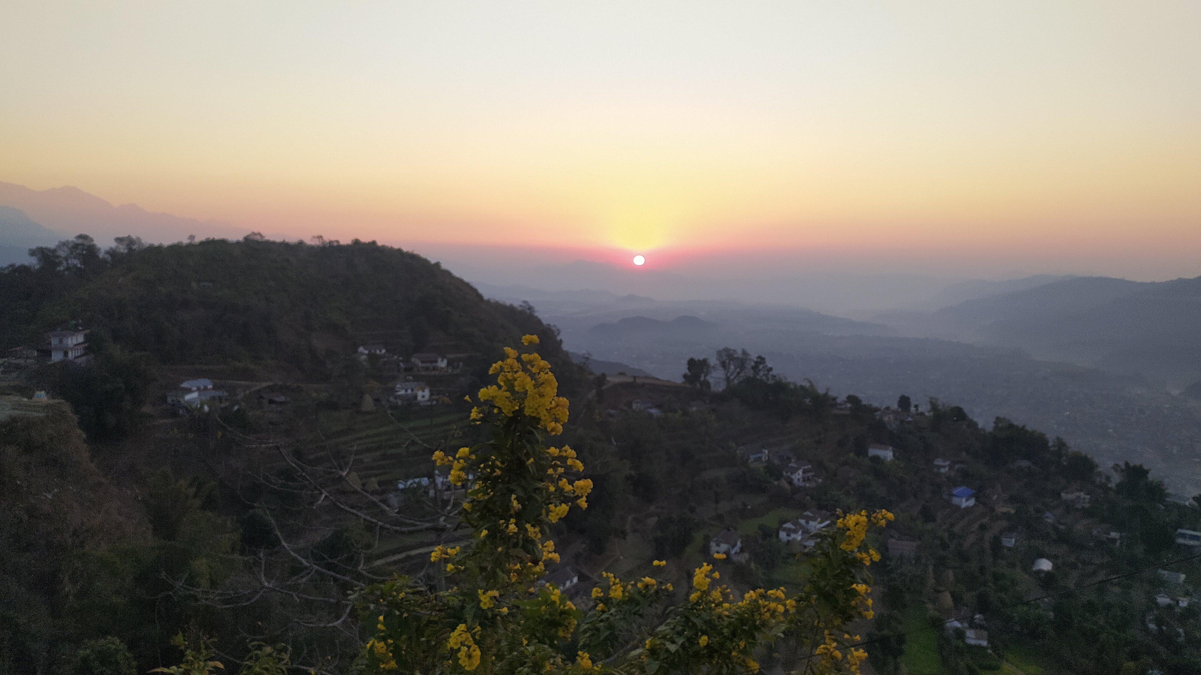 Peace Dragon Lodge-官方