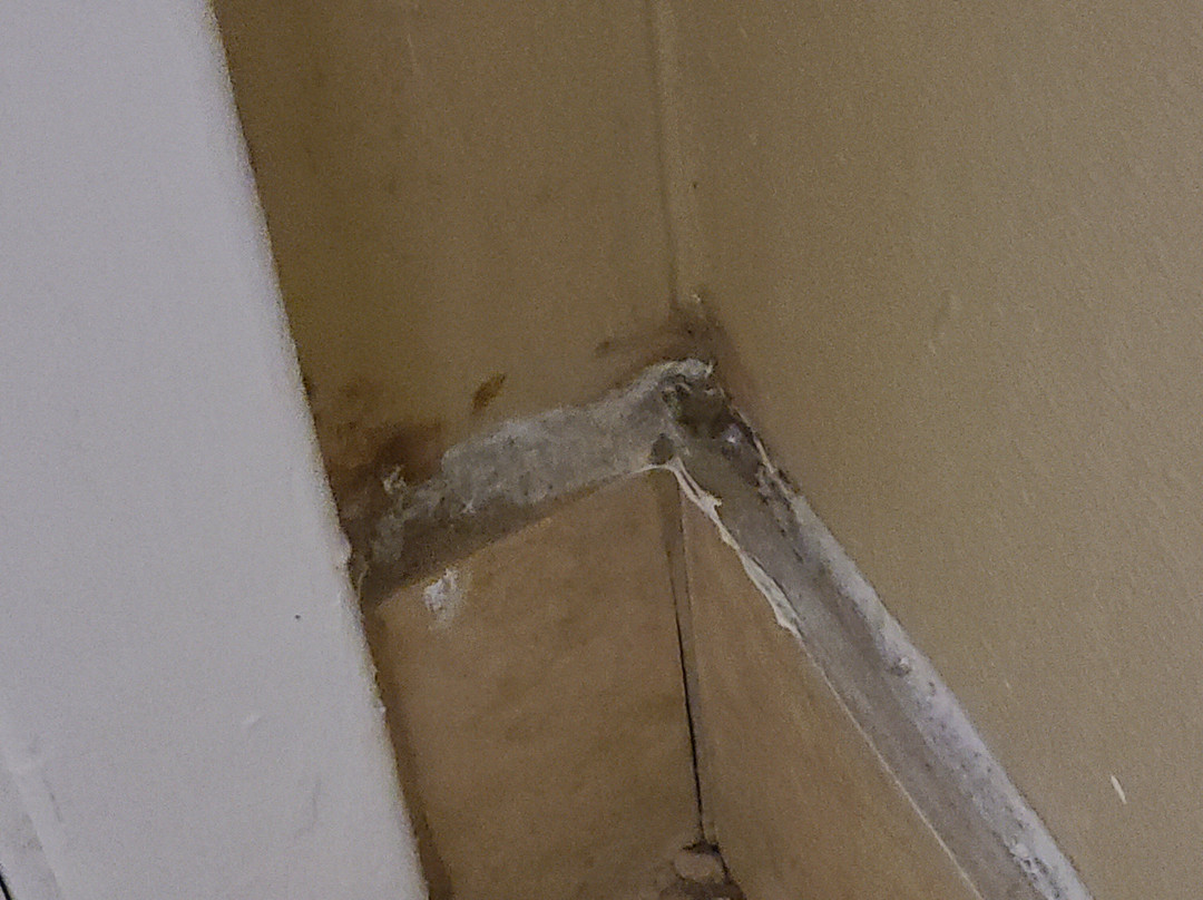 Best Western Huntsville Inn & Suites主图