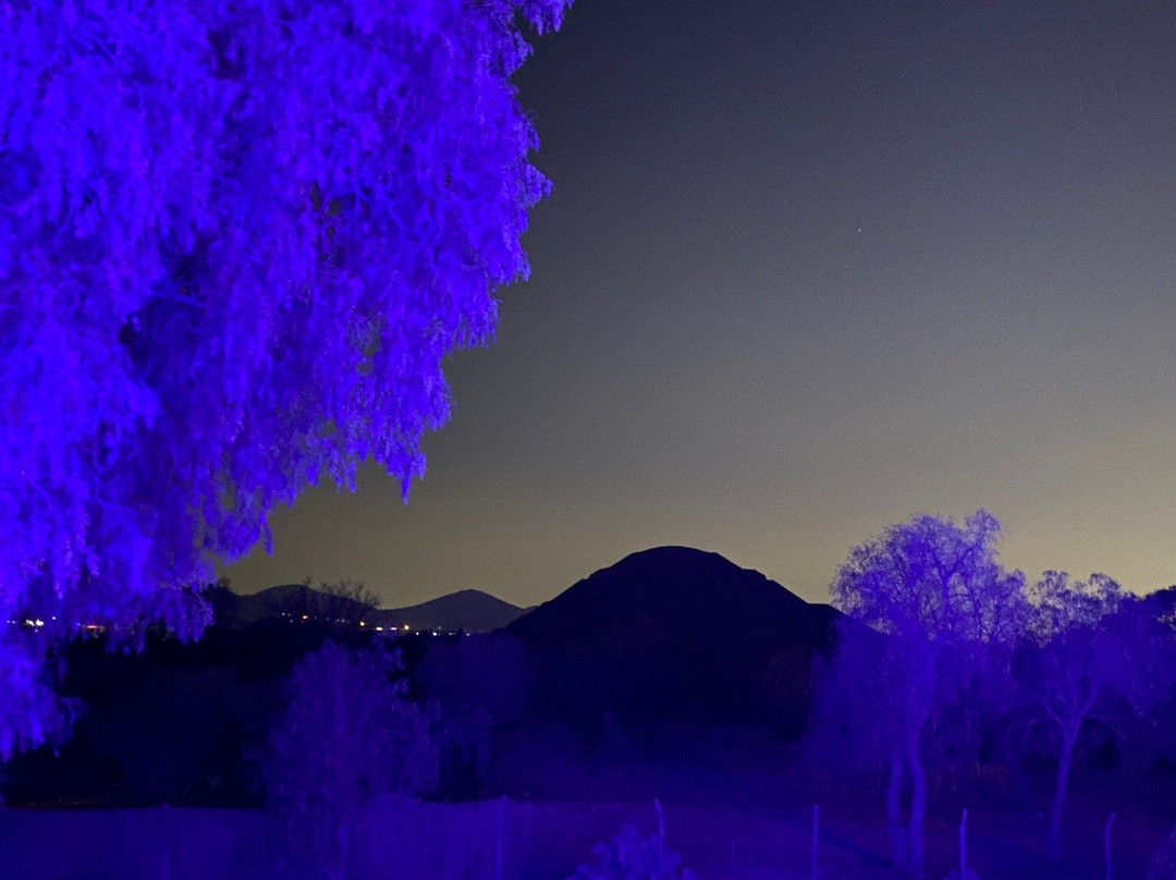 Hotel El Jaguar主图