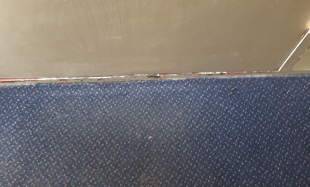 Fox Glenn Motor Inn主图