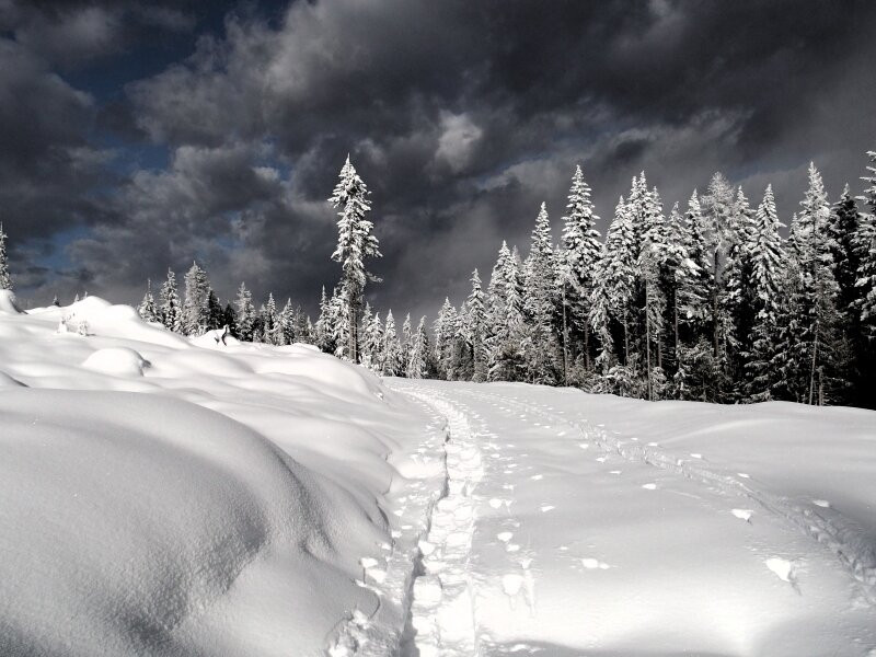 Larch Hills Cross Country Ski Area景点图片