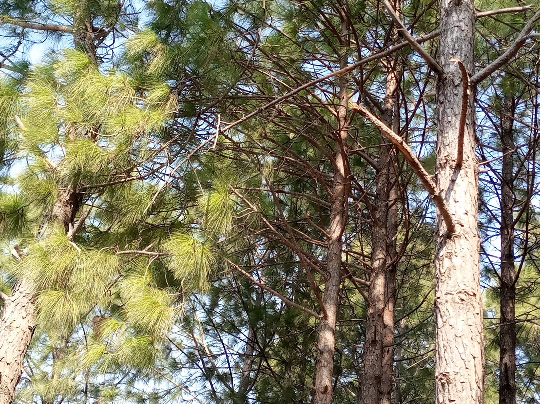 Trail 3-伊斯兰堡必去景点