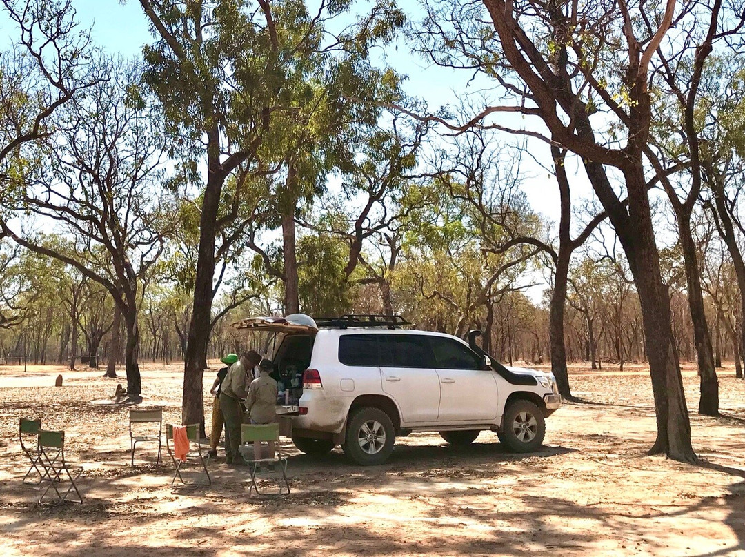 Great Northern Tours-库克敦必去景点