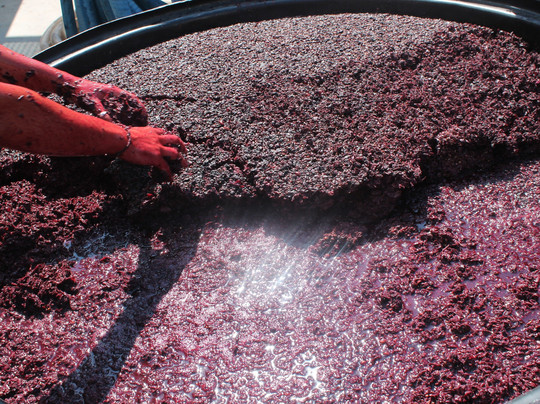 Areti Valtadorou Oinos Exerience-伊拉克利翁必去景点