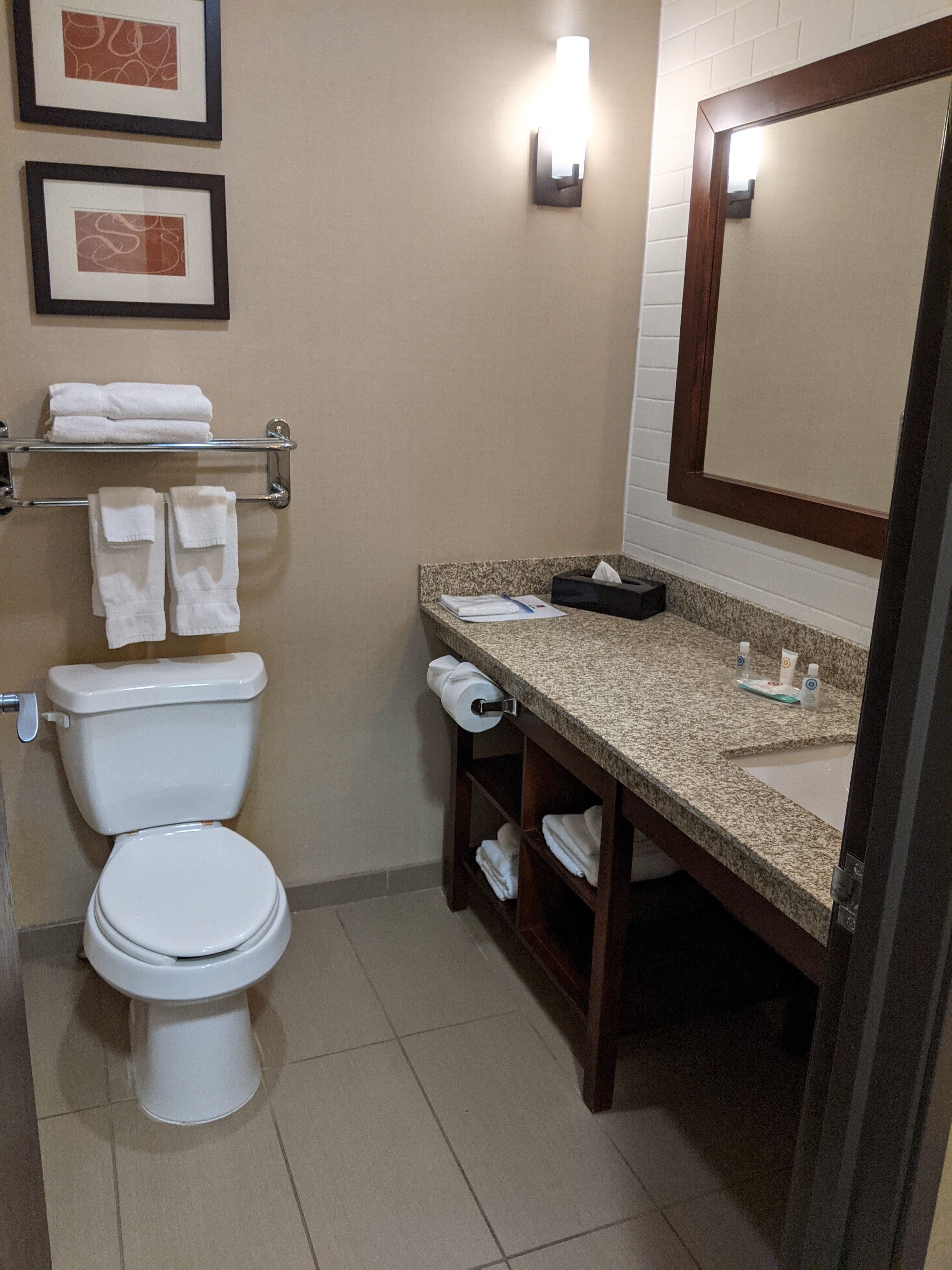 Comfort Suites Saskatoon-浴室