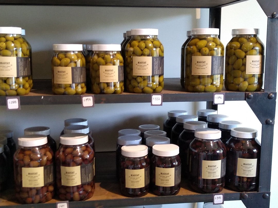 Olivicola Maguay-Maipu必去景点