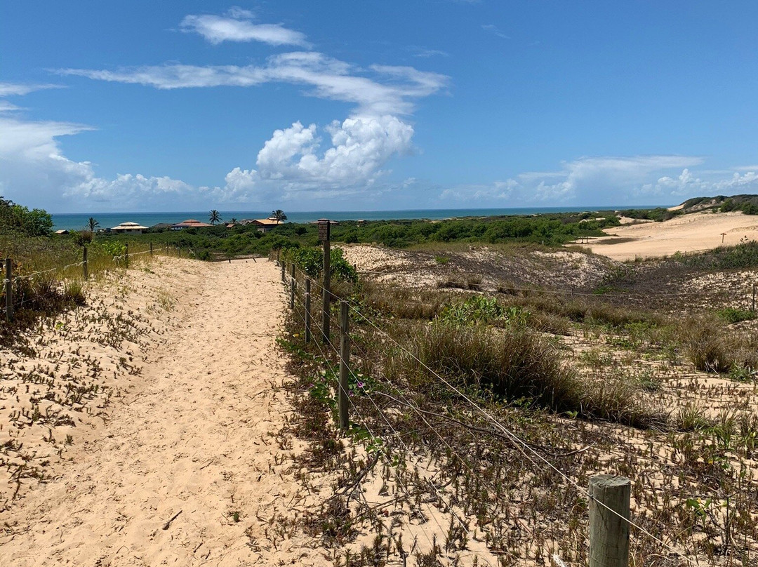 Praia Itaúnas景点图片