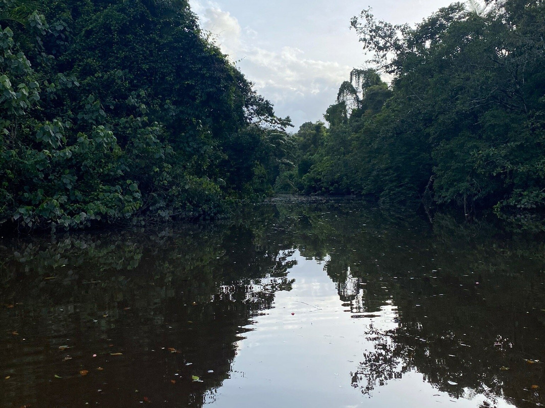 Daintree Boatman Wildlife Cruises-Daintree必去景点
