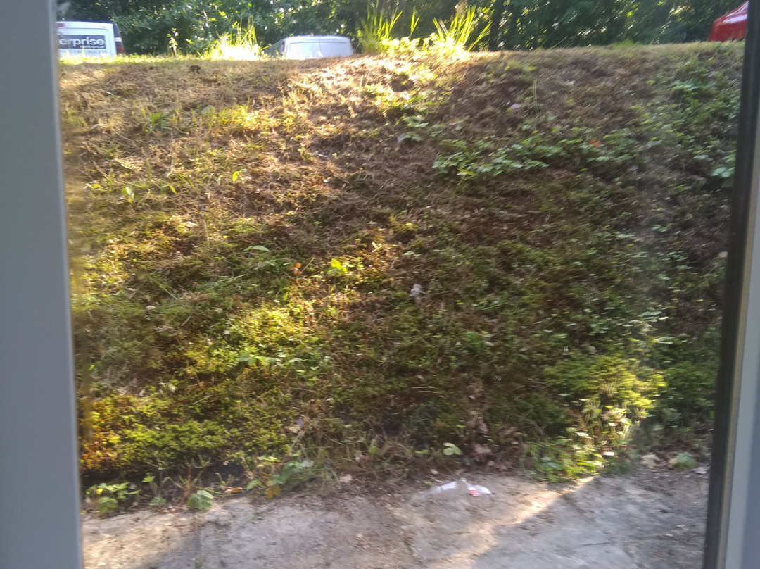 The Casa Hotel主图