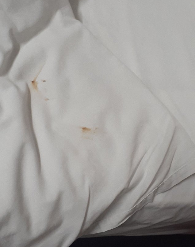 桥景汽车旅馆主图