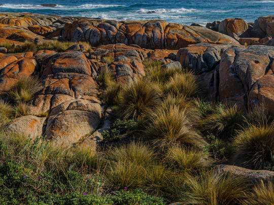 Shutterbug Walkabouts-霍巴特必去景点