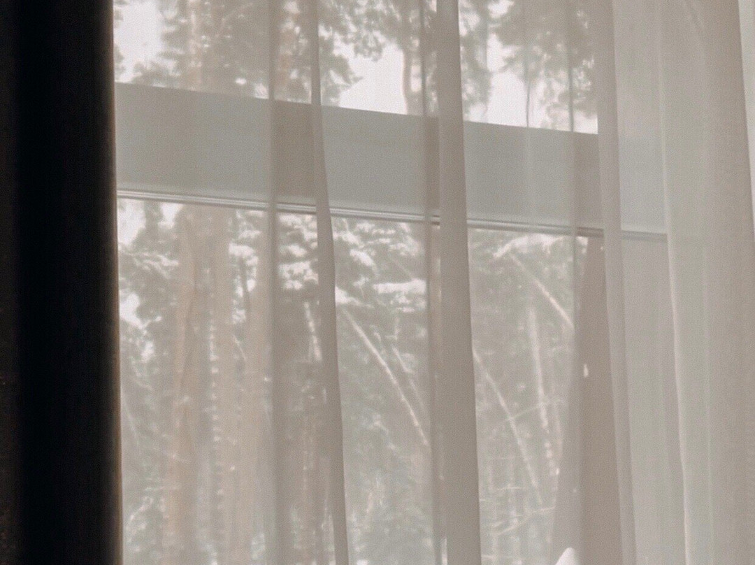 Paustovskiy Park Hotel主图