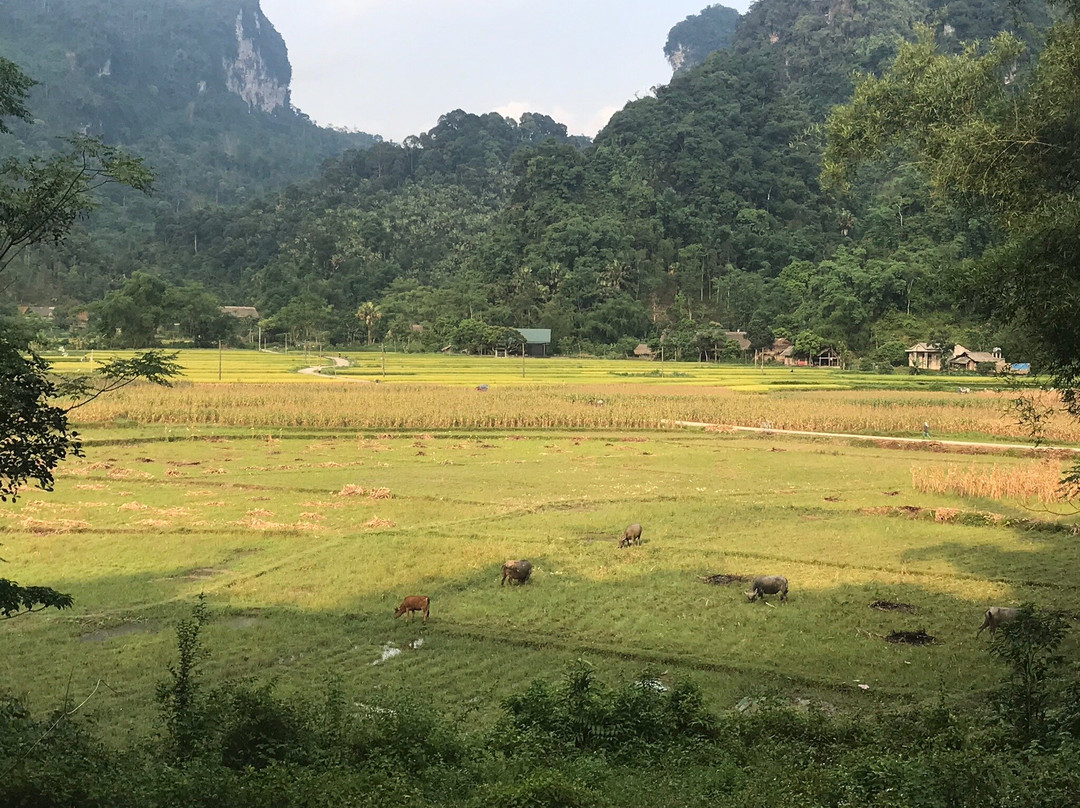 Na Hang RiceRoad Tours-河内必去景点