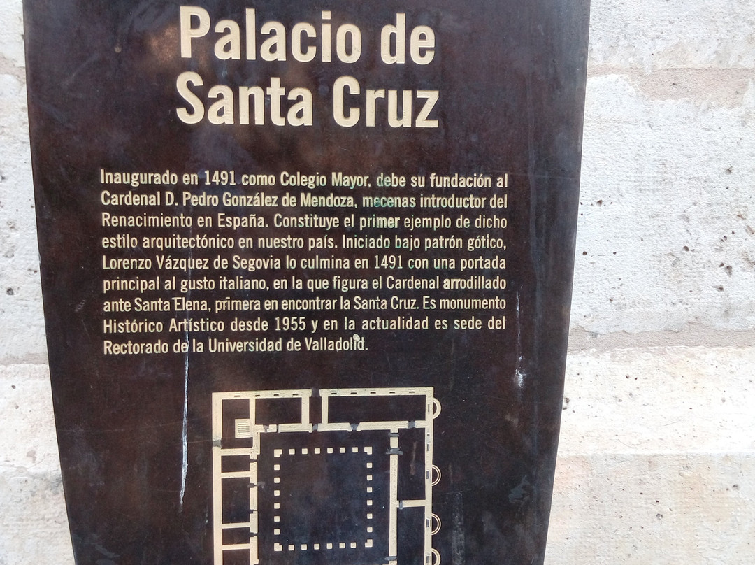 Palacio de Santa Cruz景点图片